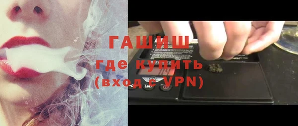 шишки Покачи