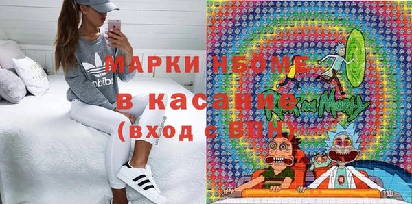 шишки Покачи