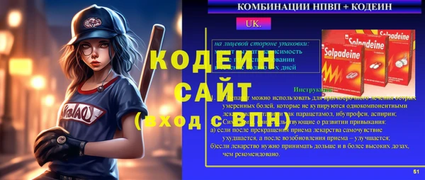 шишки Покачи
